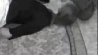 Спортлог Blowjob өгсөн найз нь зөвхөн аманд, гэхдээ бас pussy