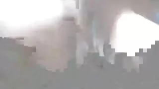 Өвөө fucks зээ болон өргөмөл охин, тулж хойлог pussy, ам