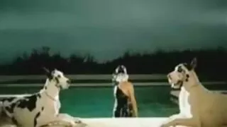 Эрүүл, саарал үстэй dw